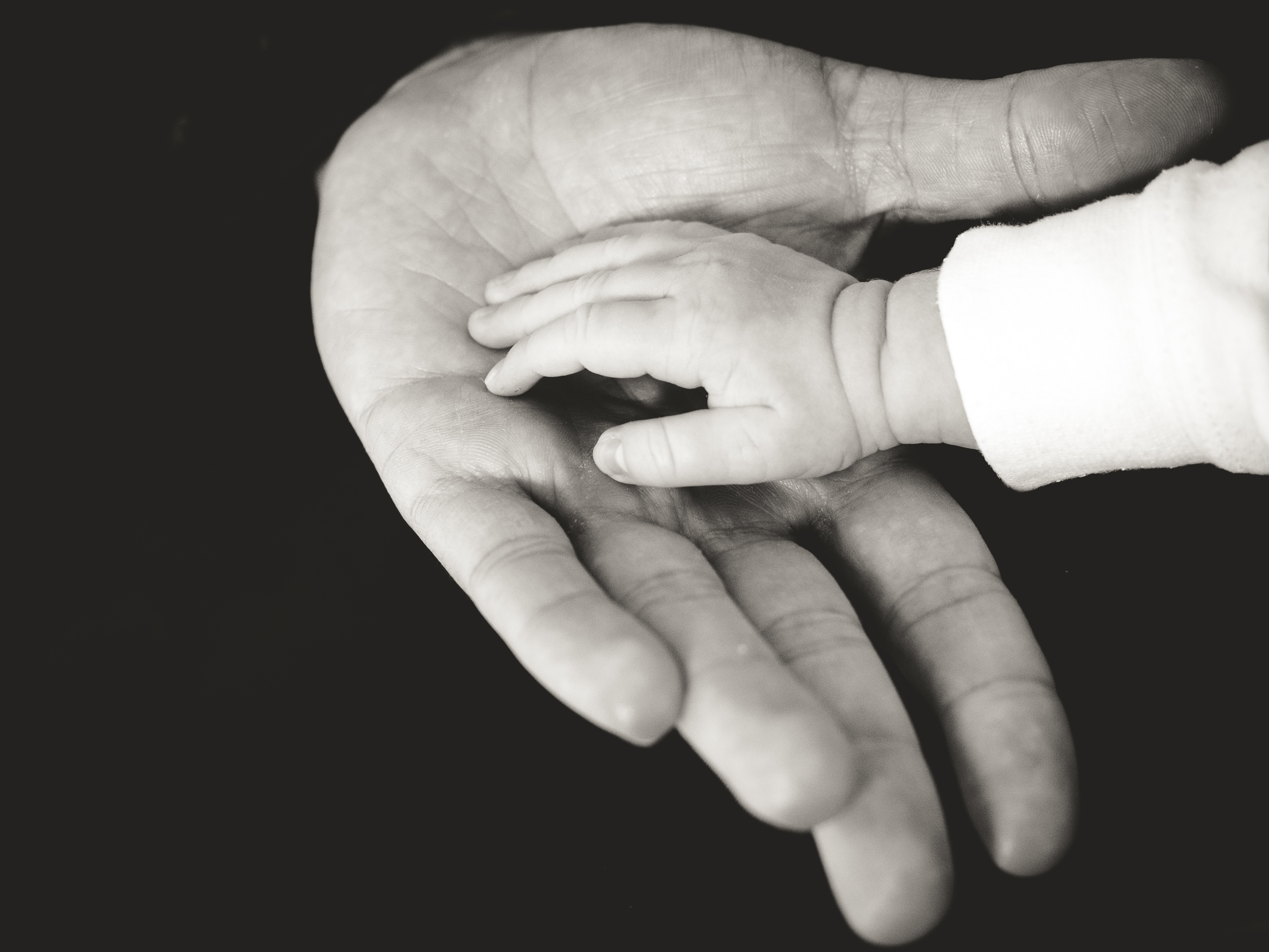 Parental authority – part 2 – Parental plan Parental authority – part 2 – Parental plan